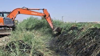تاکید شهرداری منطقه شش اسلامشهر بر تداوم خدمات روزانه شهری