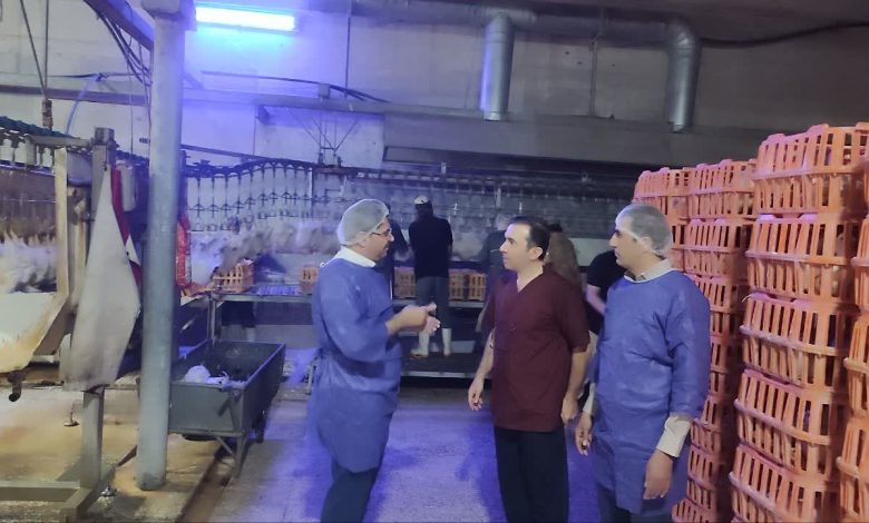 نظارت بامدادی بر کشتارگاههای شهرستان اسلامشهر