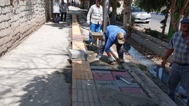 تسریع در بهسازی معابر احمدآبادمستوفی؛ از آسفالت‌ریزی تا روشنایی معابر