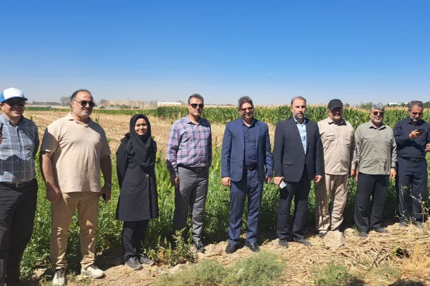 جهاد کشاورزی اسلامشهر